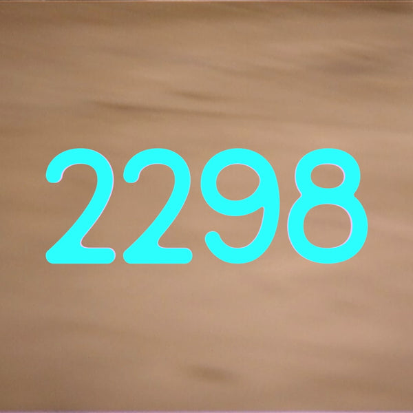 ENTITY 2022 DVD Featuring the 2298 video